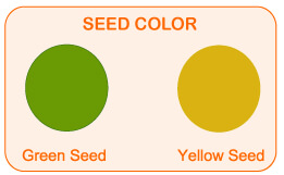 mendel and his work, mendel's seven traits, flower color, flower position, seed shape, seed color, stem heigh, pod shape, pod color, dihybrid cross, m